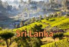 Reiseberericht Sri Lanka